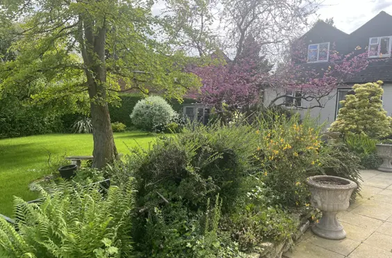 The Ferns Residential Home - outside view of care home