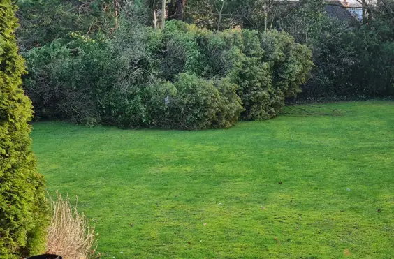 Long Meadow Care Home - outside view of care home