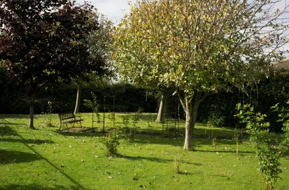 Northlea Court Care Home - outside view of care home