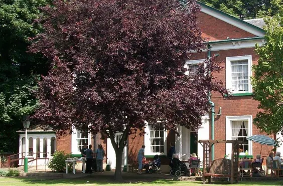 The Hollies Residential Home - outside view of care home