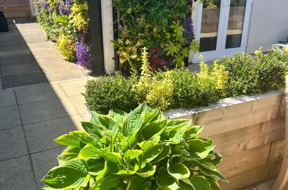 Blossom House - outside view of care home