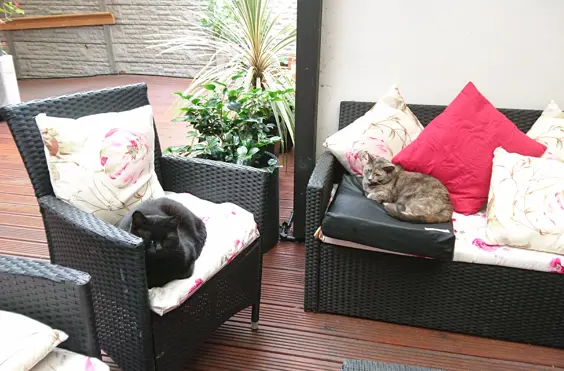 Lavender Lodge Nursing Home - Photo of the garden where applicable