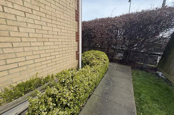 Olive House - An outside view of the home