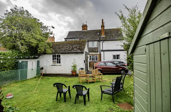 Ash Tree - Photo of the garden where applicable