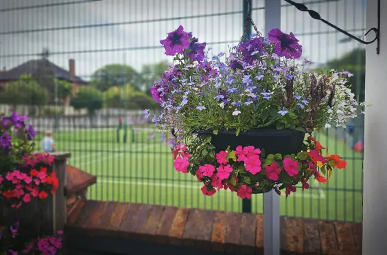 Woodthorpe Manor Nursing Home - outside view of care home