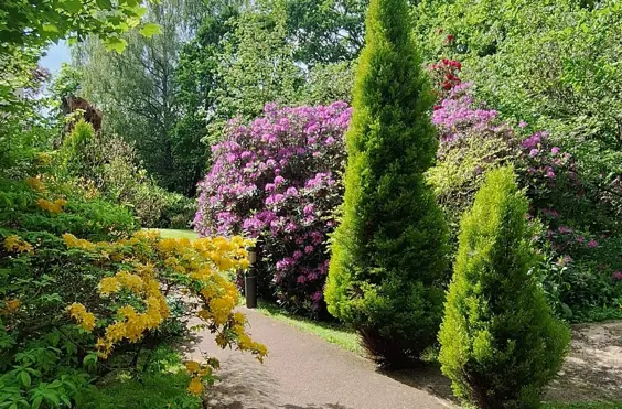 Hazeldene House - outside view of care home