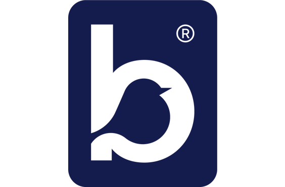 Bluebird Care (Cheshire East) Domiciliary Care Agency - A company logo