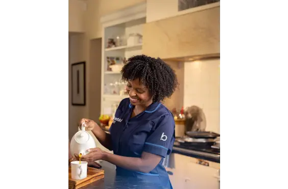 Bluebird Care (Barnet) - A company logo