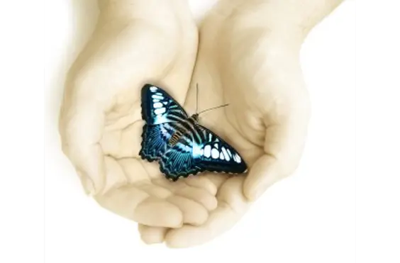 Divine Care Provider Ltd - outside view of care home