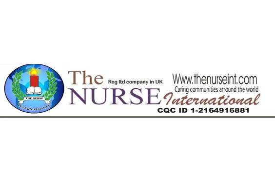 The Nurse International Ltd - A company logo