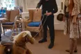 An additional photo of the care home