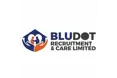 Bludot Recruitment and Care Limited - logo