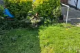 Photo of the garden where applicable