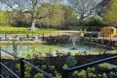 Photo of the garden where applicable
