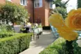 Photo of the garden where applicable