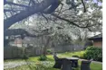 Photo of the garden where applicable