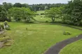 Photo of the garden where applicable